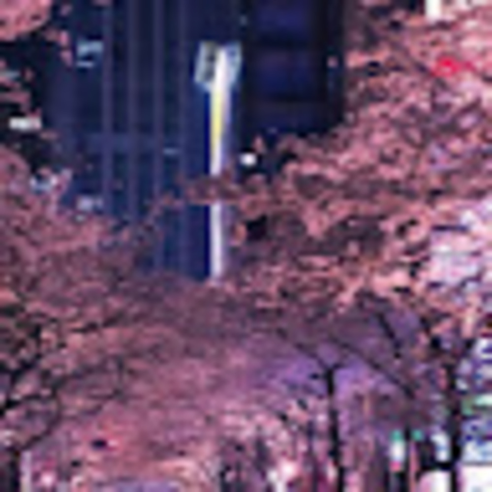 Meet your Posher, Olive